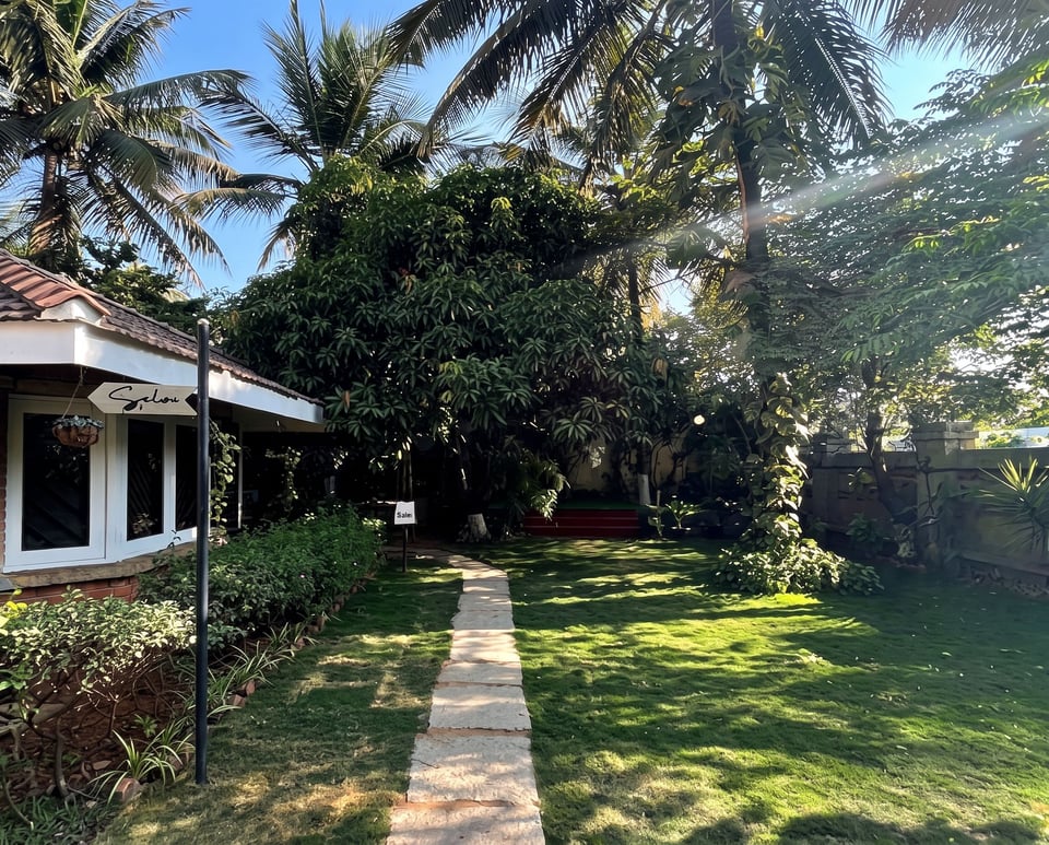 A paved path through the lawn under coconut palms at Namma Ashram
